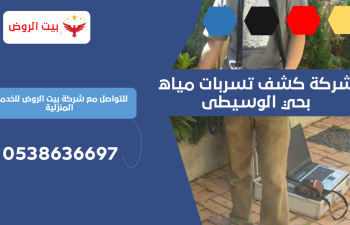 شركة كشف تسربات مياه بحي الوسيطى